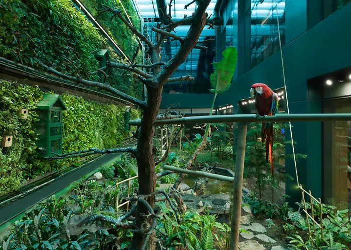 Elite World Grand Basin Ekspres Istambul